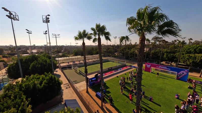 Outdoor sports complex with palm trees under a clear blue sky.